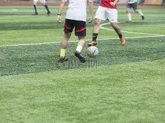 年青海,省级交流赛,暨姑妈篮球,开云体育,开云体育官网,开云体育app,开云体育平台,KAIYUN,SPORTS,kaiyun登录入口