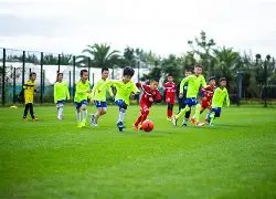 旺旺战队以,佳绩击败哈,哈战队,开云体育,开云体育官网,开云体育app,开云体育平台,KAIYUN,SPORTS,kaiyun登录入口