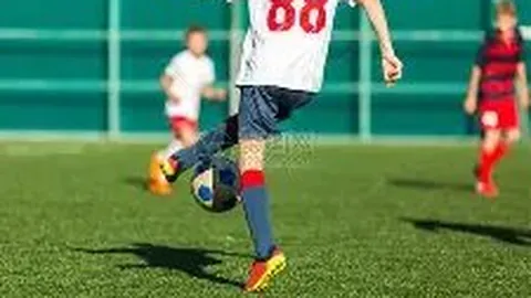 “双十一焦点：佳能R8摄影利器，捕捉运动、赛车与野生动物，全域对焦技术精准成像”