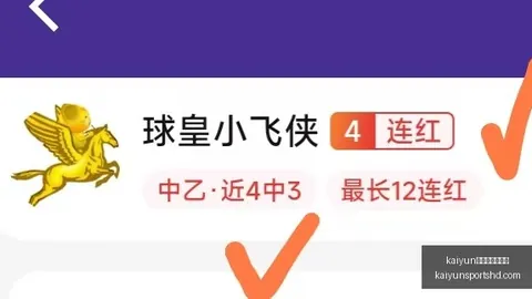 体育官网版，开云在线服务，下载 142048